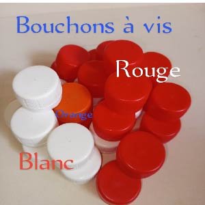 Bouchons à vis